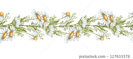 Chamomile seamless border. Hand drawn illustration - frame with daisy flowers. Chamomile seamless border. Hand drawn illustration - frame with daisy flowers. 127633578