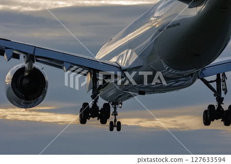 airplane in the sunset 127633594