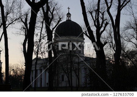 The silhouette of the cathedral and bare trees. The silhouette of the cathedral and bare trees. 127633700