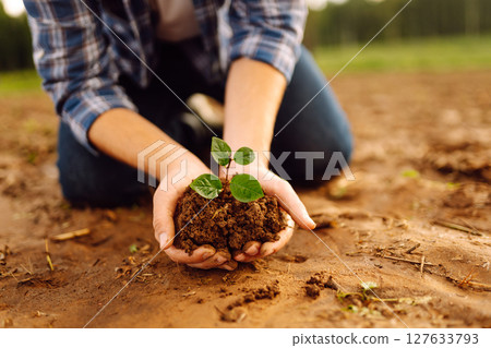 Man in a shirt holds a green plant in his hands. Caring for the environment. 127633793
