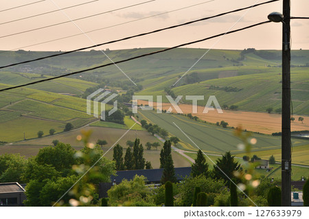 Vineyards at sunset as seen from the hills of Sancerre (France, June 8, 2025) Vineyards at sunset as seen from the hills of Sancerre (France, June 8, 2025) 127633979