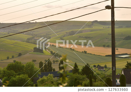 Vineyards at sunset as seen from the hills of Sancerre (France, June 8, 2025) Vineyards at sunset as seen from the hills of Sancerre (France, June 8, 2025) 127633980