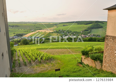 Vineyards at sunset as seen from the hills of Sancerre (France, June 8, 2025) 127633984