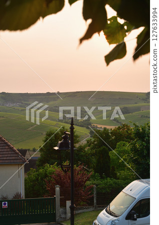 Vineyards at sunset as seen from the hills of Sancerre (France, June 8, 2025) Vineyards at sunset as seen from the hills of Sancerre (France, June 8, 2025) 127633994