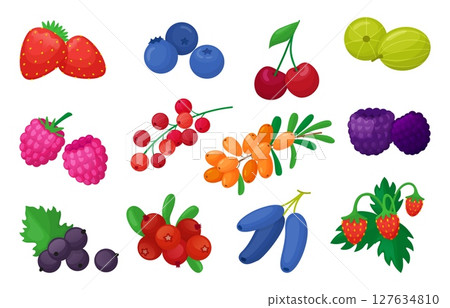 Cartoon berries. Fresh berry, organic farm natural vitamin food. Isolated strawberry, gooseberry, cherry, blueberry, blackberry, raspberry, neoteric vector clipart Cartoon berries. Fresh berry, organic farm natural vitamin food. Isolated strawberry, gooseberry, cherry, blueberry, blackberry, raspberry, neoteric vector clipart 127634810