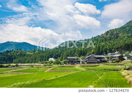 Rice fields in the riverside area along Lake Yogo, Yogo Town, Nagahama City, Shiga Prefecture 127634870