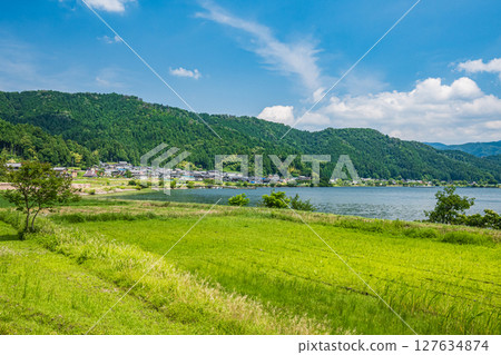 Rice fields in the riverside area along Lake Yogo, Yogo Town, Nagahama City, Shiga Prefecture 127634874