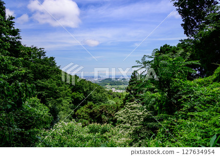 Mountain village landscape 127634954