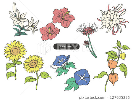 夏季花卉簡單彩色插圖 夏季花卉簡單彩色插圖 127635255