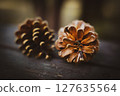 landscape with pine cones 127635564