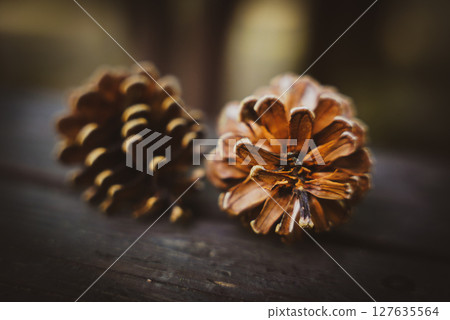 有鬆果的風景 127635564