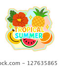 Tropical summer logo with fruits and hibiscus (with colorful borders) 127635865