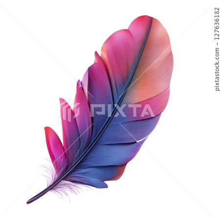 Feather transparent PNG isolated on white background. 127636182