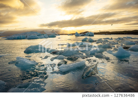 Icebergs floating in Jokulsarlon glacier lagoon lake at sunset. Great tourist attraction in Iceland Gold Circle. Icebergs floating in Jokulsarlon glacier lagoon lake at sunset. Great tourist attraction in Iceland Gold Circle. 127636486