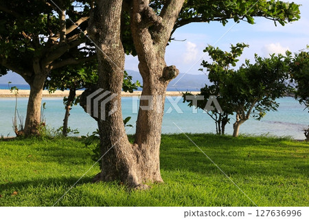 Scenery of Hatoma Island, Okinawa Scenery of Hatoma Island, Okinawa 127636996