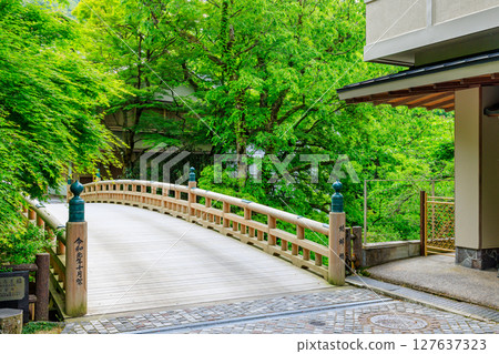 初夏的蟋蟀橋，石川縣加賀市 127637323