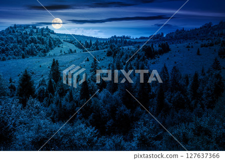 summer landscape with forest on the hill at night. scenic view of highlands in full moon light. mysterious environment with trees in green foliage. scenery under dark blue sky summer landscape with forest on the hill at night. scenic view of highlands in full moon light. mysterious environment with trees in green foliage. scenery under dark blue sky 127637366