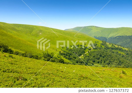 discover the beauty of mountain landscape in summer. beautiful scenery of borzhava ridge with great peak. highland of ukraine on a sunny day. discover the beauty of mountain landscape in summer. beautiful scenery of borzhava ridge with great peak. highland of ukraine on a sunny day. 127637372