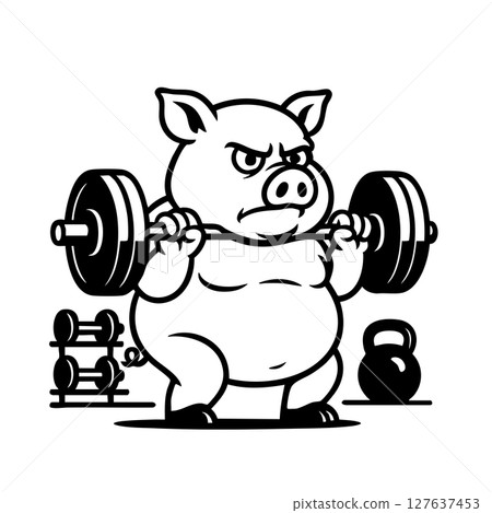Chubby pig lifts heavy barbells in a gym, showing determination and grit. Comical and motivational vector cartoon. 127637453