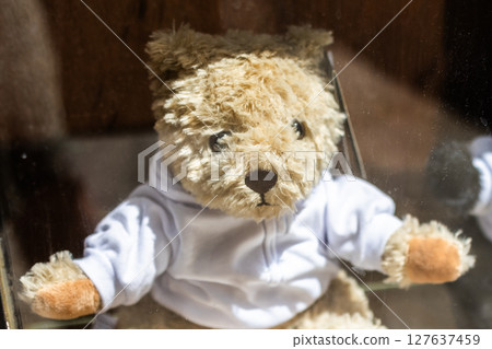 Warm cuddly brown teddy bear wearing white t-shirt sitting down 127637459