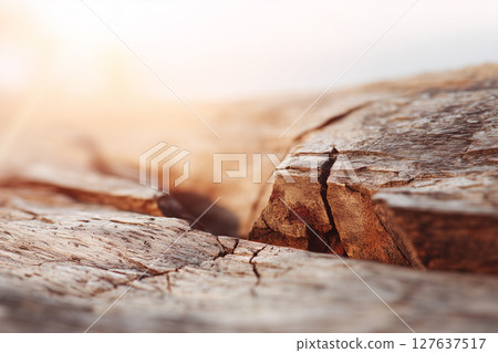 木質表面與晨光 | 木紋紋理背景，賦予天然材質的溫暖 127637517