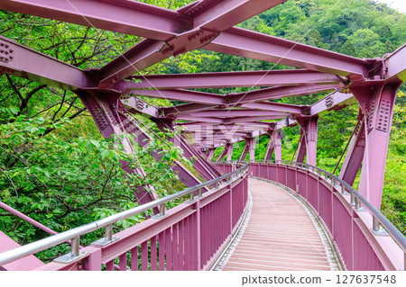初夏的貓的搖籃橋,石川縣加賀市 初夏的貓的搖籃橋,石川縣加賀市 127637548