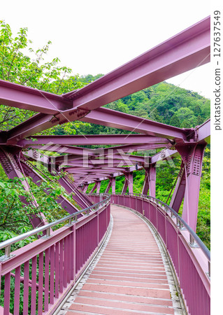 Cat's Cradle Bridge in early summer, Kaga City, Ishikawa Prefecture Cat's Cradle Bridge in early summer, Kaga City, Ishikawa Prefecture 127637549