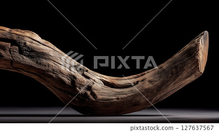 Contrast between a single dead branch and a black background | Still life art of natural objects highlighting their dry texture Contrast between a single dead branch and a black background | Still life art of natural objects highlighting their dry texture 127637567