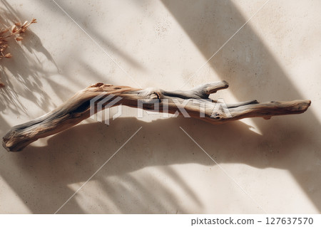 Still life composition of driftwood and soft light | Minimalist space design using natural materials Still life composition of driftwood and soft light | Minimalist space design using natural materials 127637570