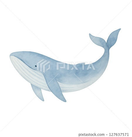 Watercolor style whale illustration material (transparent PNG material) 127637571