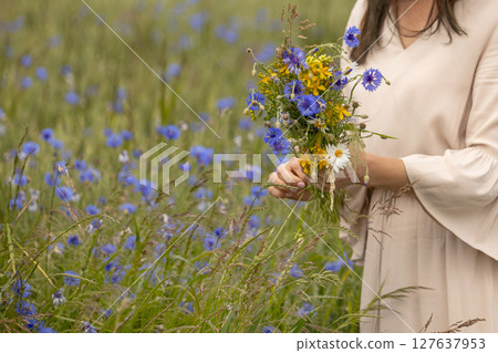 Woman holding wild herbal flower bouquet 127637953