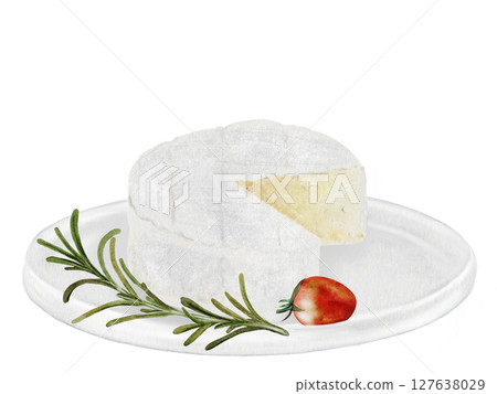 Cheese watercolor. Camembert or brie picture with cherry tomatoes and rosemary on a white plate. Hand drawn illustration of dairy cream product of French cuisine. Clip art of food on white background 127638029