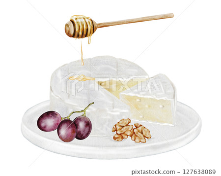 Cheese watercolor drawing. Camembert or brie picture with with grapes, nuts and honey. Hand drawn illustration of dairy cream product of French cuisine. Clip art of food on white background. Ideal for 127638089