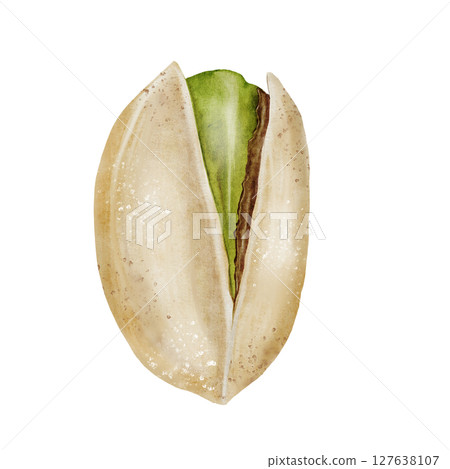 Pistachio watercolor. Hand drawn nut with shell isolated on white background. Realistic snack clip art. Ideal for logo, product packaging, banner 127638107