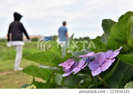 河岸長廊上盛開的繡球花和散步的人們 127638142