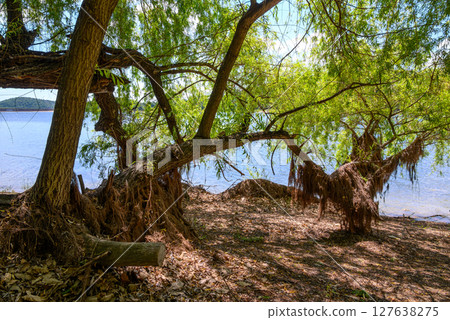 Bor Lake (Borsko jezero), an artificial lake in Eastern Serbia near the city of Bor Bor Lake (Borsko jezero), an artificial lake in Eastern Serbia near the city of Bor 127638275