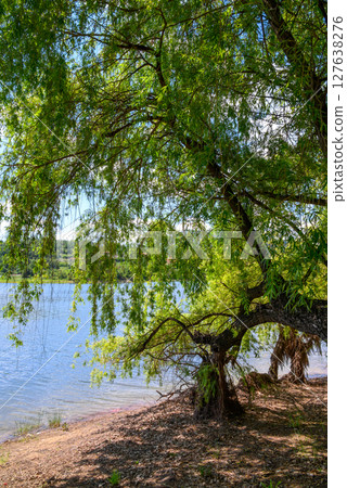 Bor Lake (Borsko jezero), an artificial lake in Eastern Serbia near the city of Bor Bor Lake (Borsko jezero), an artificial lake in Eastern Serbia near the city of Bor 127638276