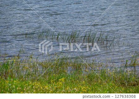 Bor Lake (Borsko jezero), an artificial lake in Eastern Serbia near the city of Bor 127638308