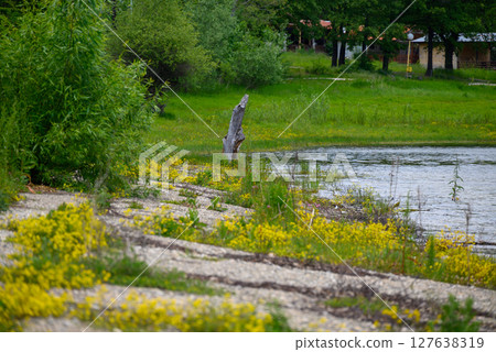 Bor Lake (Borsko jezero), an artificial lake in Eastern Serbia near the city of Bor Bor Lake (Borsko jezero), an artificial lake in Eastern Serbia near the city of Bor 127638319