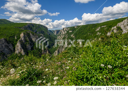 Landscape of of Lazar Canyon (Lazarev kanjon), the deepest and longest canyon in eastern Serbia, near the city of Bor 127638344