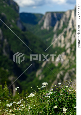 Landscape of of Lazar Canyon (Lazarev kanjon), the deepest and longest canyon in eastern Serbia, near the city of Bor Landscape of of Lazar Canyon (Lazarev kanjon), the deepest and longest canyon in eastern Serbia, near the city of Bor 127638358
