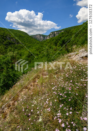 Landscape of of Lazar Canyon (Lazarev kanjon), the deepest and longest canyon in eastern Serbia, near the city of Bor 127638372