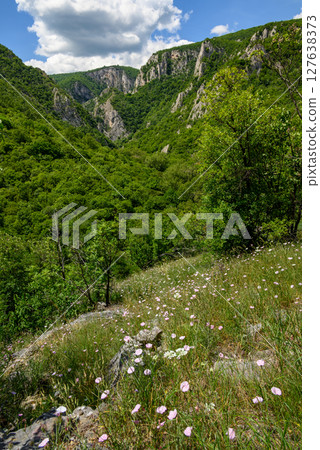 Landscape of of Lazar Canyon (Lazarev kanjon), the deepest and longest canyon in eastern Serbia, near the city of Bor 127638373