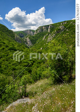Landscape of of Lazar Canyon (Lazarev kanjon), the deepest and longest canyon in eastern Serbia, near the city of Bor 127638377