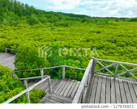 Green mangrove forest with wooden walkways, highlighting the role of these ecosystems in carbon sequestration, ecotourism, and as a defense against rising sea levels and climate change impacts. 127638821