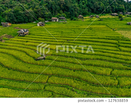 Vibrant rural landscape of Thailand with traditional homes, winding footpaths, and green rice terraces under a soft sky, ideal for promoting homestays, eco living, and sustainable agriculture. Vibrant rural landscape of Thailand with traditional homes, winding footpaths, and green rice terraces under a soft sky, ideal for promoting homestays, eco living, and sustainable agriculture. 127638859