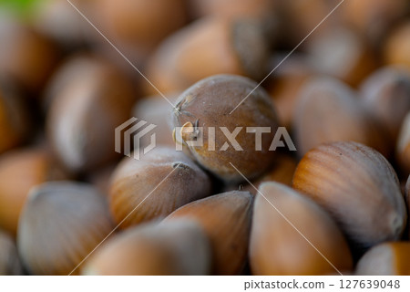 Macro closeup view of pile of raw shelled Hazelnuts, healthy food 127639048