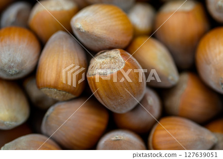 Macro closeup view of pile of raw shelled Hazelnuts, healthy food 127639051