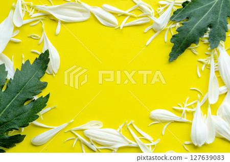 Yellow floral frame with leaf corners and blank copy space for text Yellow floral frame with leaf corners and blank copy space for text 127639083
