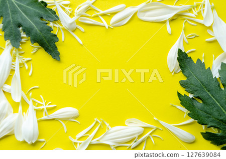 Bright yellow floral background with leaf border and copy space Bright yellow floral background with leaf border and copy space 127639084